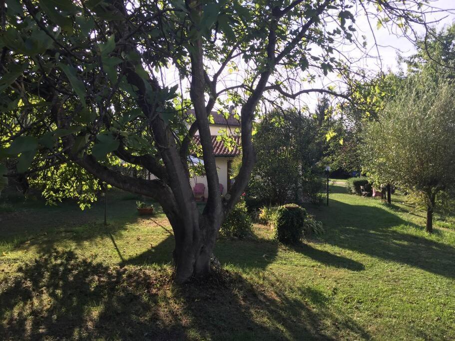 Chalet La Sequoia Orte Exterior foto